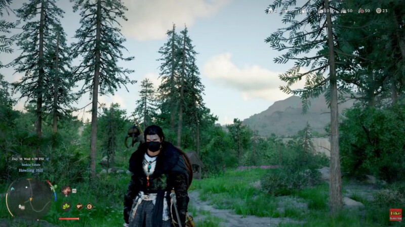 How to Use Headgear Visibility in Crimson Desert