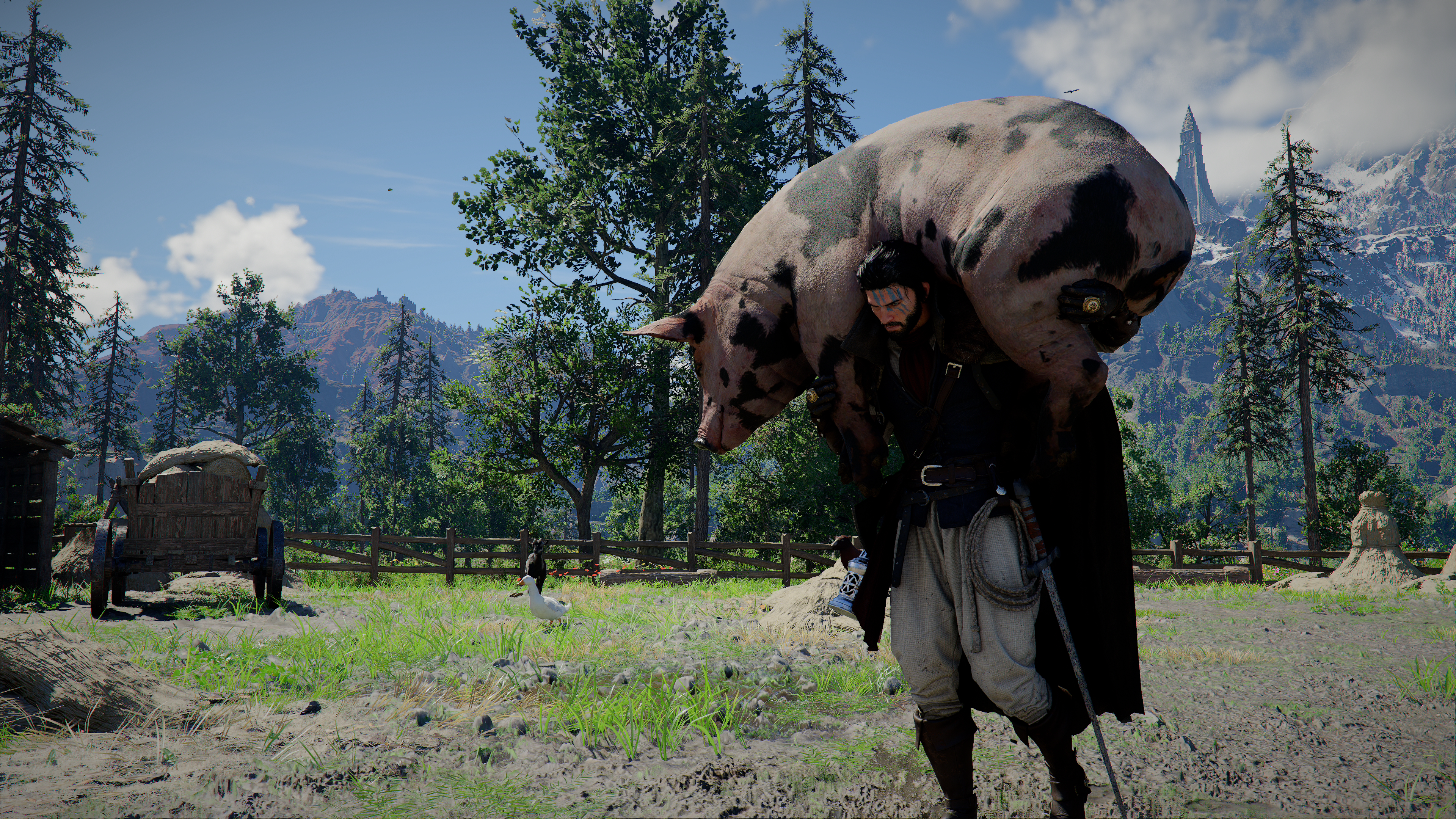 How Pet Accessories, Sigil of Bonding, and Birds Work in Crimson Desert