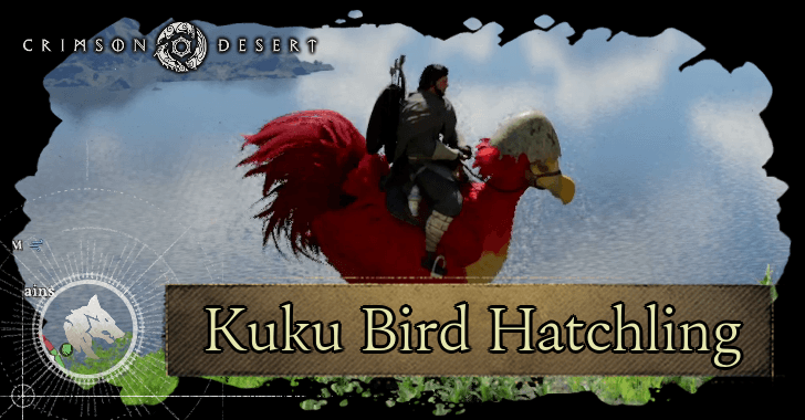 Kuku Bird Hatchling