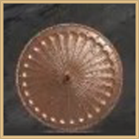 City Guard's Shield