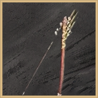 Golden-Knotted Ancestral Bow